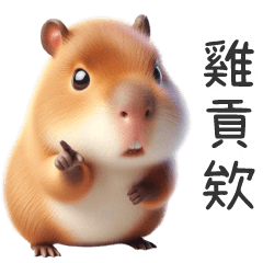 (R)Capybara-Say Taiwanese