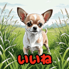 charming Chihuahuas stamps