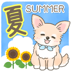 Cute Chihuahua summer message Sticker