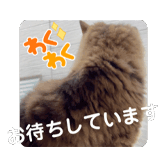 naomi-yamakawa_moko's-stamp