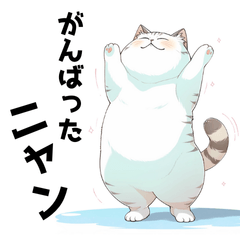 Fat Cat Positive Edition