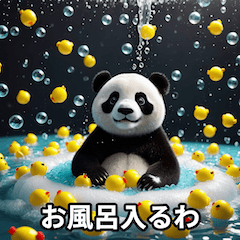 Adorable Panda Moments1