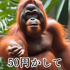 Sarcastic Orangutan