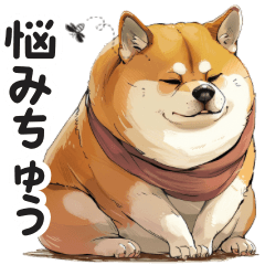 Overweight Shiba Inu