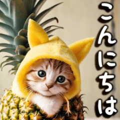 Greetings/Cat wearing a fruit costume