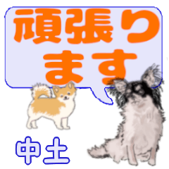 Nakatsuchi's letters Chihuahua