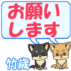 Taketoshi's letters Chihuahua2