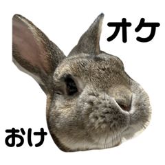 latte &marron_20240623135839