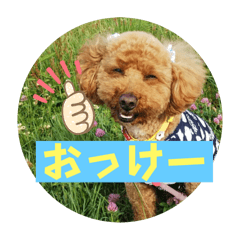 犬のくっきー詰め合わせ