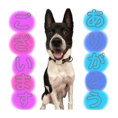 tkppa_20240623193615