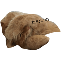 haqua_20240623190857