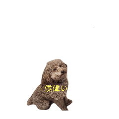 tanuki_20240623213128