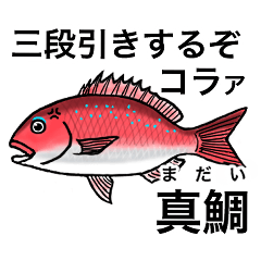 Angry fish sticker