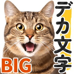 デカ文字BIG】キジトラ猫❤基本の会話 - LINE スタンプ | LINE STORE デカ文字BIG】キジトラ猫❤基本の会話 - LINE スタンプ | LINE STORE