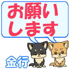 Kaneyuki's letters Chihuahua2 (2)