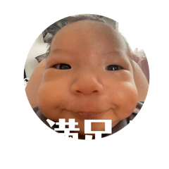 Tanuki_20240624124428