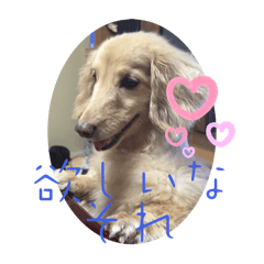 ando-natu_20240623091655