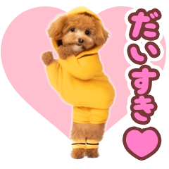 *dance! dancing toy poodle