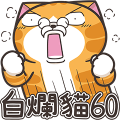 白爛貓60☆超興奮☆