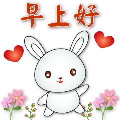 Cute white rabbit--phrases for daily use