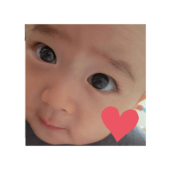 AOZORA_20240624170255