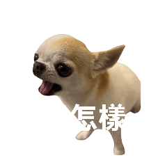 chi.hua.hua