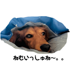 rintama_20240624172323