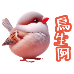 Body language of a java sparrow1