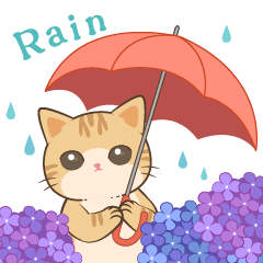 Rainy season Nyanko