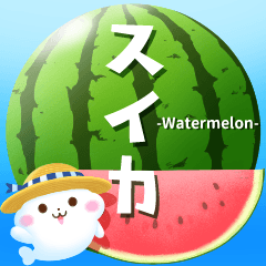 Assortment of watermelon