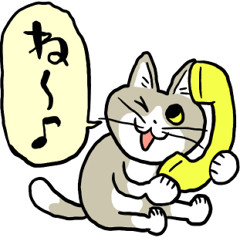 Chatty Phone Cat