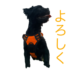 Y.T_20240625000155