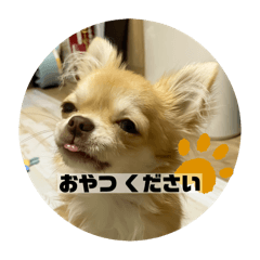 chiwa-Taro_20240625005642