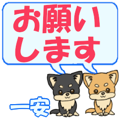 Ichiyasu's letters Chihuahua2