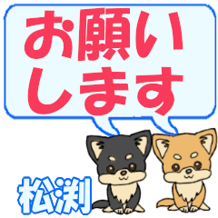 Matsubuchi's letters Chihuahua2
