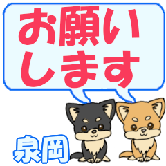 Izumioka's letters Chihuahua2