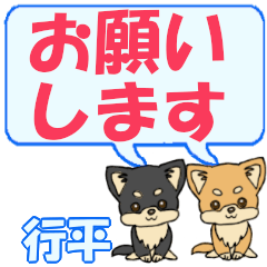 Yukihira's letters Chihuahua2