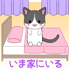 Ruki-cat10