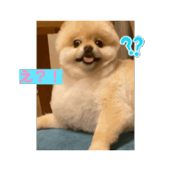 hachikun_20240626001629