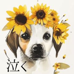 Sunflowers and dogs!