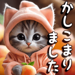 問候-穿著水果服裝的貓（大）#02