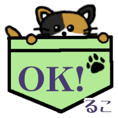 Ruko's Pocket Cat's