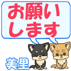 Misato's letters Chihuahua2