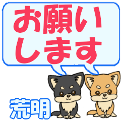 Araaki's letters Chihuahua2