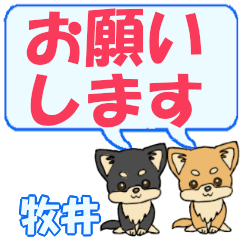 牧井「まきい」用でか文字チワワ２