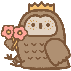 Cutie Owl San