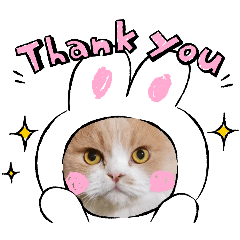 Jay B._20240626161328 – LINE stickers | LINE STORE