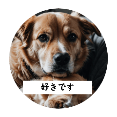 AI Dog Part4 (Japan,English,China,Korea)