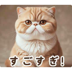 世界のネコ:日本語