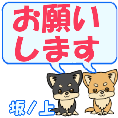 Sakanoue's letters Chihuahua2 (2)